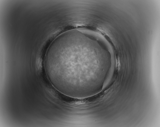 X0000088750692200705311512