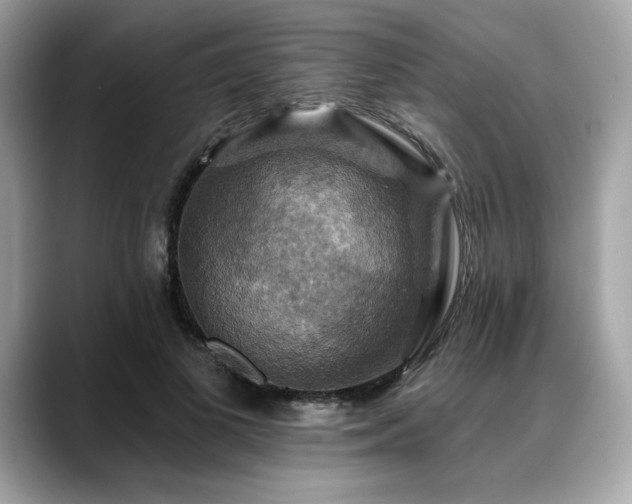 X0000088750693200705311512