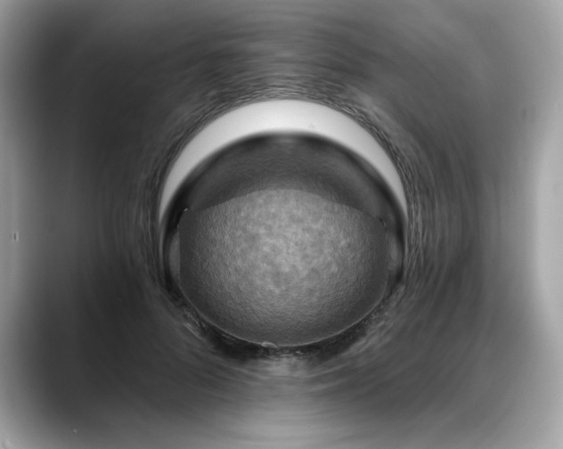 X0000088750696200705311512