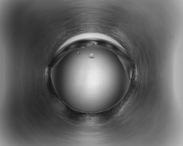 X0000088750697200705311512