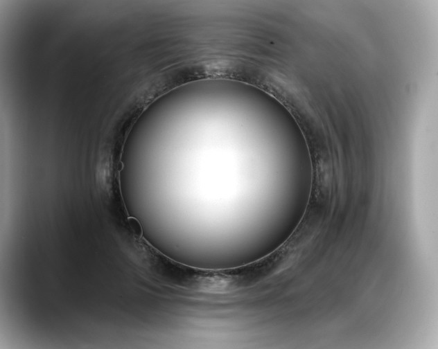 X0000088750698200705311512