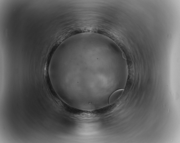 X0000088750699200705311512
