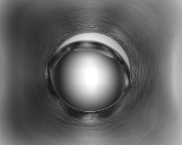 X0000088750700200705311512