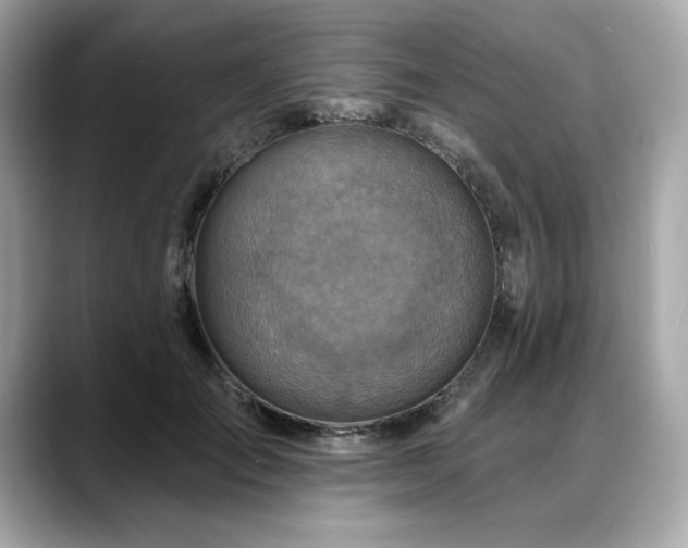 X0000088750701200705311512