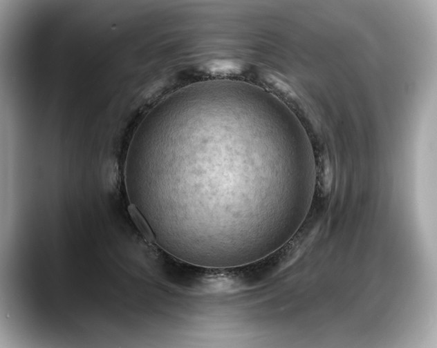 X0000088750704200705311512