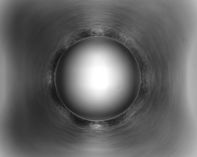 X0000088750706200705311512