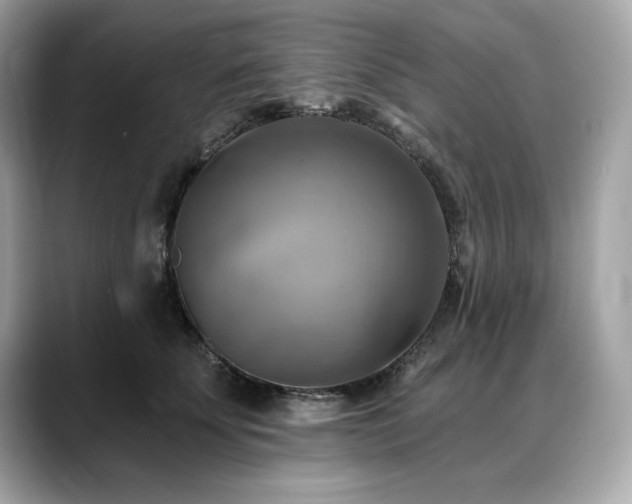 X0000088750707200705311512