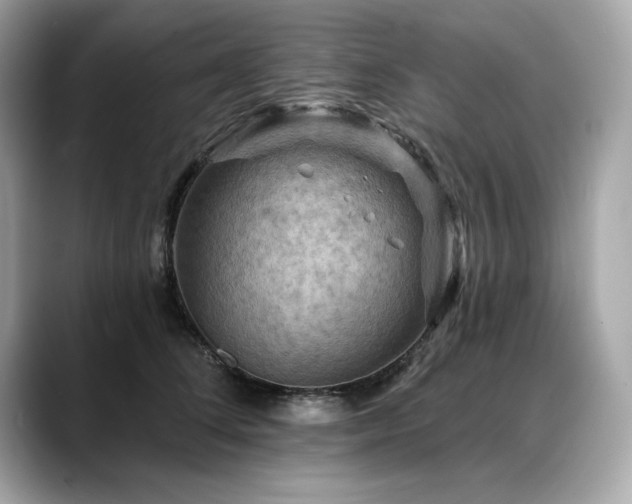 X0000088750708200705311512