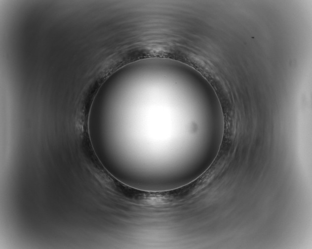 X0000088750710200705311512
