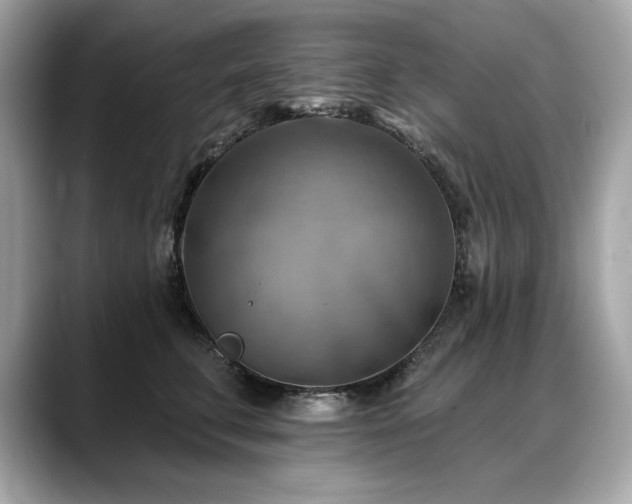 X0000088750711200705311512