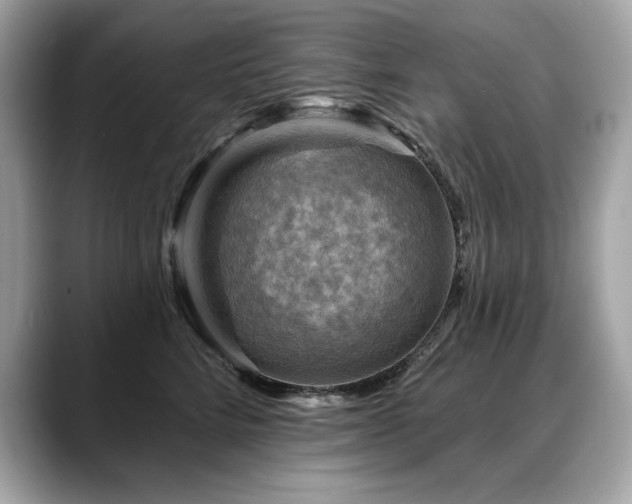 X0000088750712200705311512