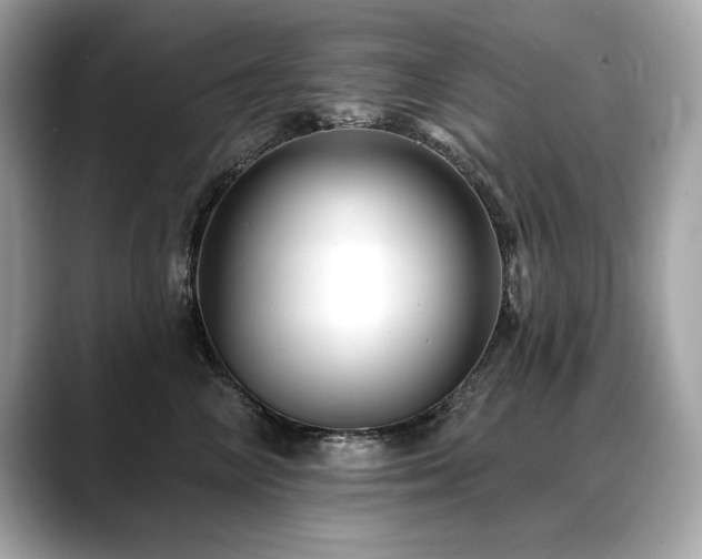 X0000088750714200705311512