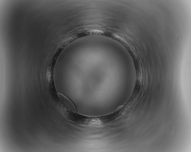 X0000088750715200705311512