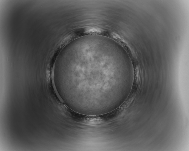 X0000088750716200705311512