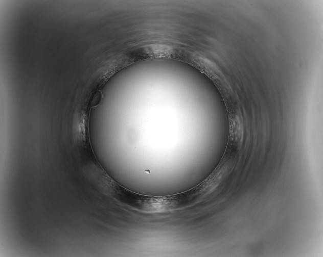X0000088750717200705311512