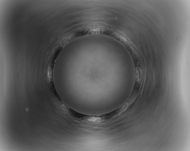 X0000088750718200705311512