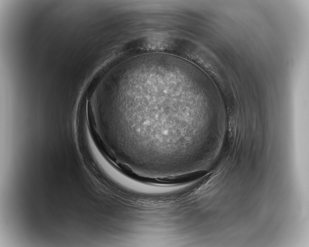 X0000088750722200705311511