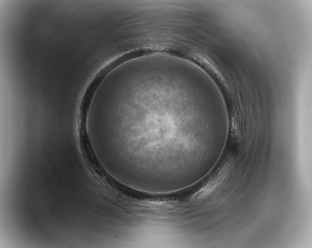 X0000088750724200705311511