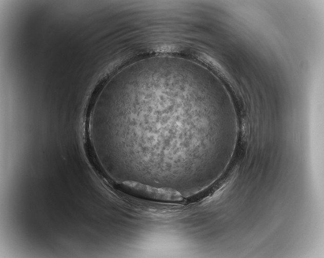 X0000088750725200705311511