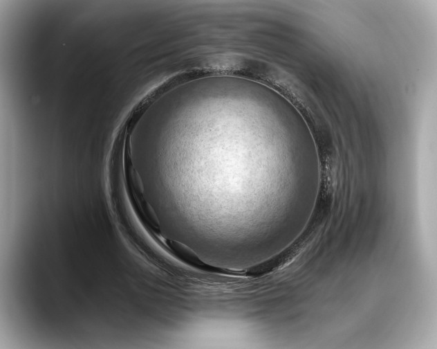 X0000088750726200705311511