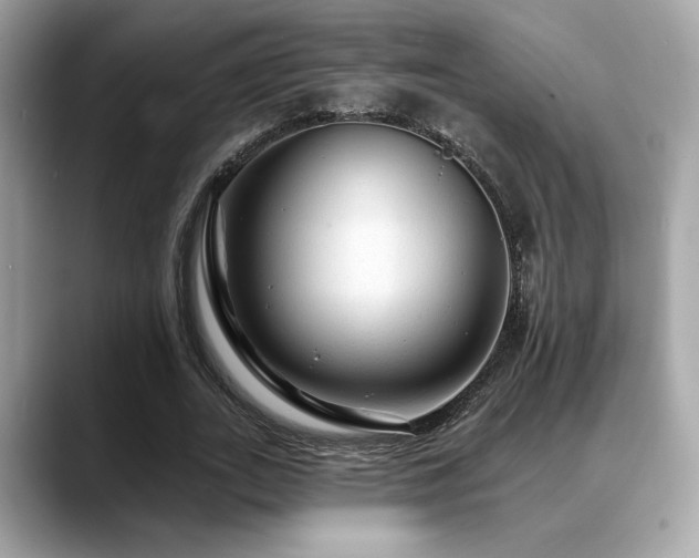 X0000088750727200705311511