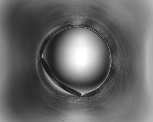 X0000088750728200705311511