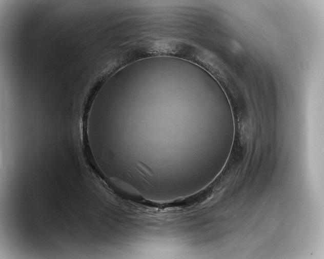 X0000088750729200705311511
