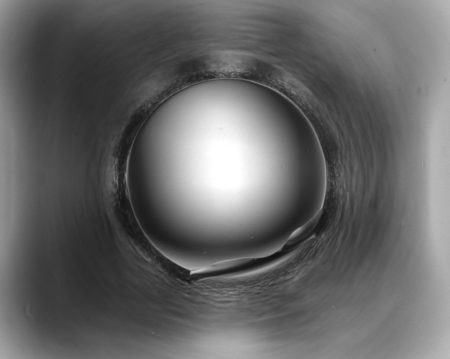 X0000088750731200705311511