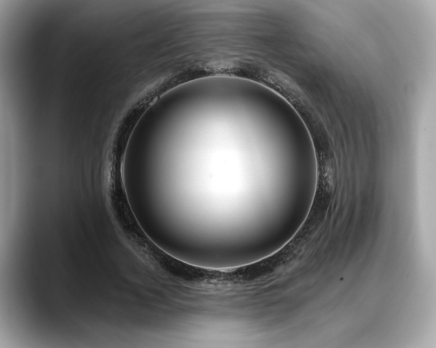 X0000088750732200705311511