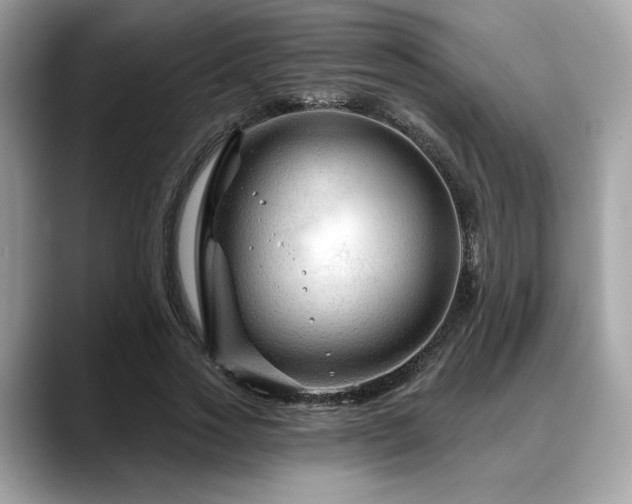 X0000088750733200705311511