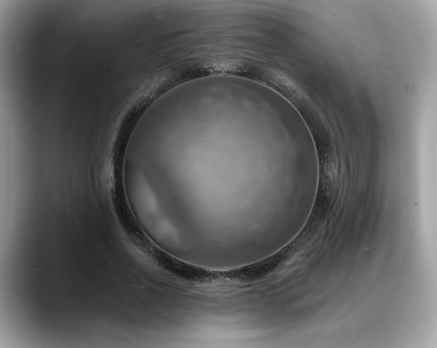X0000088750734200705311511