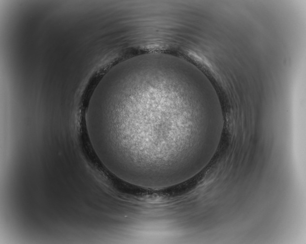 X0000088750735200705311511