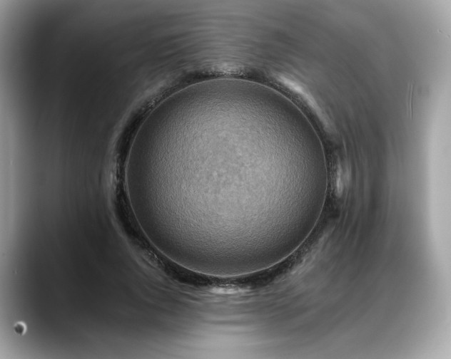 X0000088750736200705311511