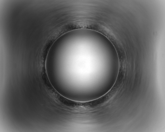 X0000088750737200705311511