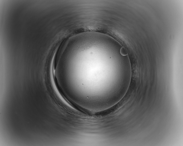 X0000088750738200705311511