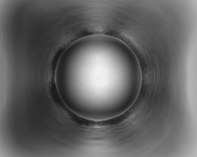 X0000088750739200705311511