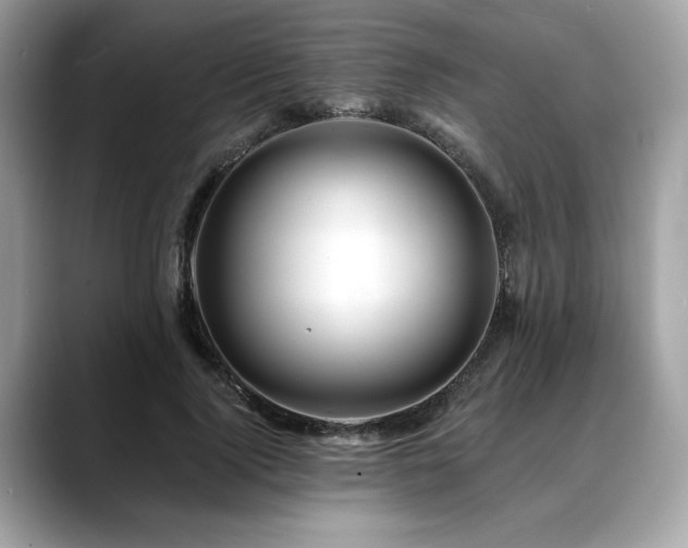 X0000088750740200705311511