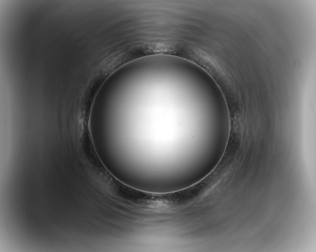 X0000088750741200705311511