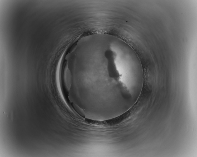 X0000088750742200705311511