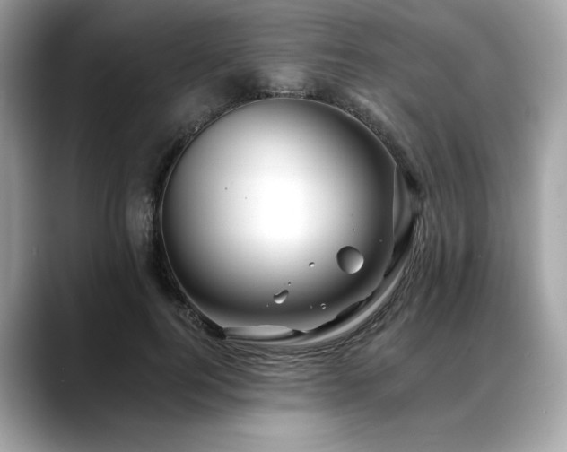 X0000088750744200705311511