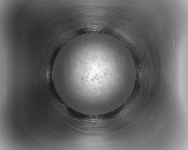 X0000088750745200705311511