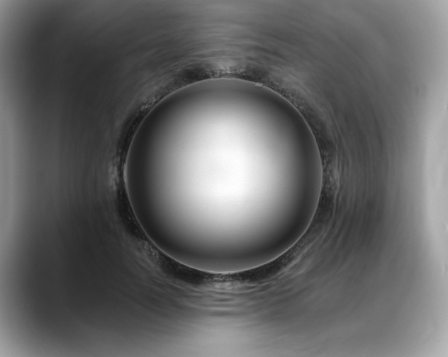 X0000088750746200705311511