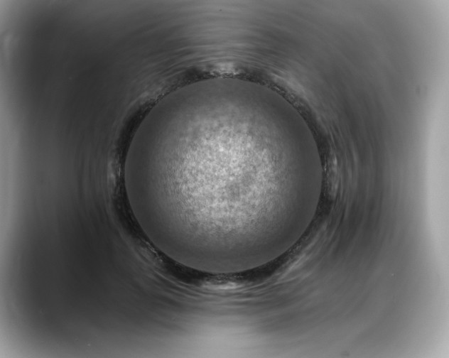 X0000088750747200705311511