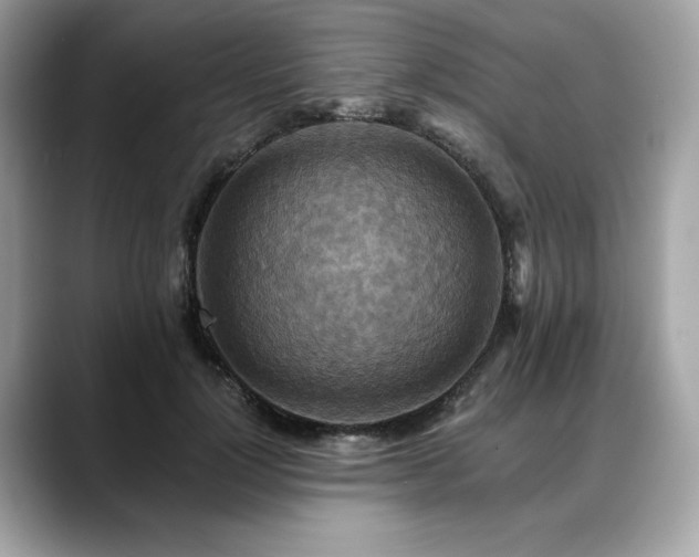 X0000088750748200705311511