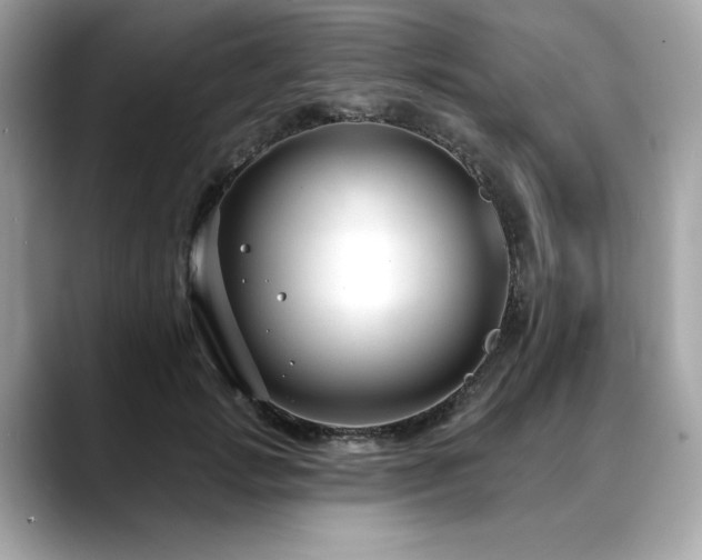 X0000088750749200705311511