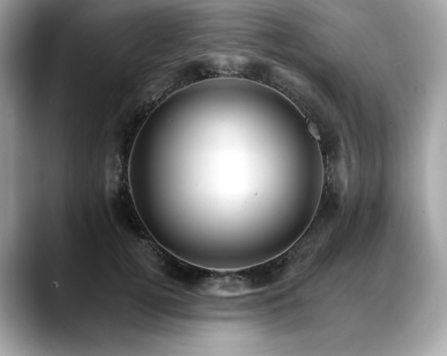 X0000088750752200705311511