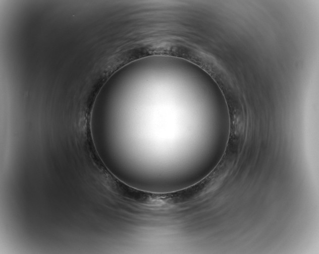 X0000088750753200705311511