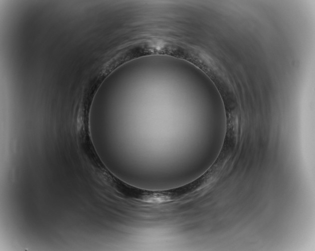 X0000088750754200705311511