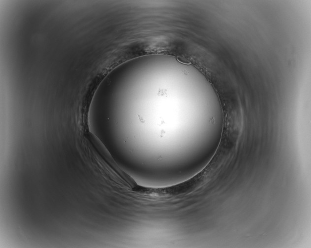 X0000088750755200705311511