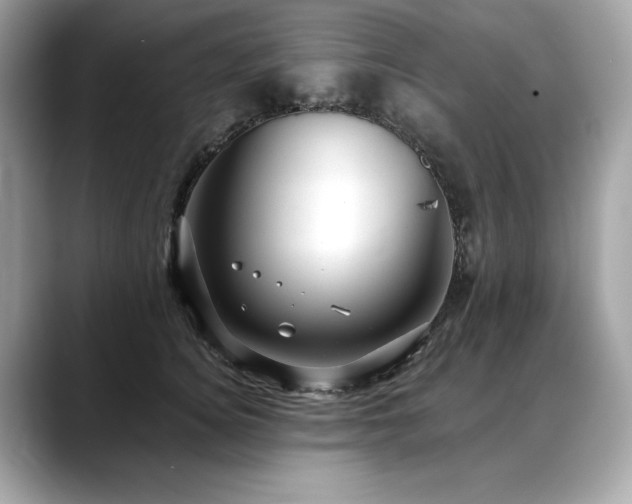 X0000088750756200705311511